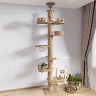 HalloweenCat Tree Floor To Ceiling Cat Tower พร้อม Scratching Post Hammock ศูนย์กิจกรรมสัตว์เลี้ยงลู
