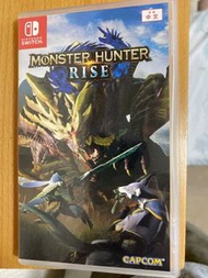 Monster hunter rise
