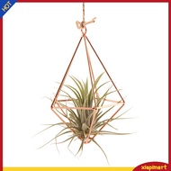 {xiapimart}  Tabletop Air Plant Stand Geometric Plant Stand Modern Geometric Glass Terrarium Plant Stand for Home Office Decor Southeast Asian Buyers' Favorite