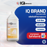 น้ำยาถูพื้น IQ Brand กลิ่นซันไรส์/3.8 ลิตร/แกลลอน IQ Brand Floor Cleaner Sunrise