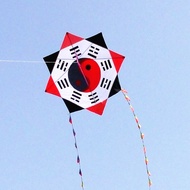 free shipping high quality eight diagrams kite line ripstop nylon fabric gossip kite toys kite flying reel adult dragon kite koi
