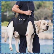 (FTQN) Dog Carrying Harness Pet Support Harness Puppy Rehabilitation Lift Vest Adjustable Strap Thic