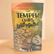 Tempeh Chips
