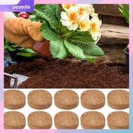 YESMILE Indoor Plants Potting Soil Garden Supplies Coco Coir Fiber Coconut Soil Accessories Environment Friendly Gardening Soil