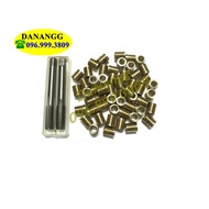 50 ren cấy 6x8 có taro