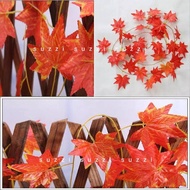 Maple leaf autumn vine maple leaf