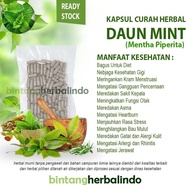 DAUN MINT Kapsul Curah Herbal Alergi Bau Mulut Sakit Kepala Jerawat
