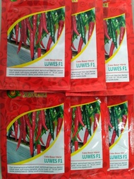 SALE!! BENIH BIBIT CABE MERAH BESAR LUWES F1 10 GR - BIBIT CABE F1