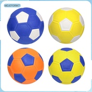 [mojotorw7] Football Size 5 Waterproof Professional Training Ball Official Match Ball for Game Teams