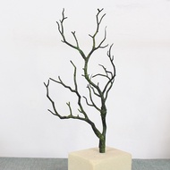Artificial Ranting Kayu Untuk Hiasan Rumah Pejabat Pelamin | Artificial Fake Wooden Branch For Weddi