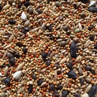 Xuan Feng food, mixed for small and medium-sized parrots, tiger skin, p feed, husked millet, Ghana b