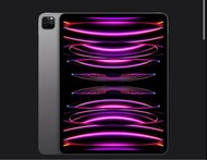 ipad pro 12.9 256GB