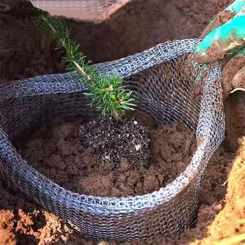 [NEW!A08R】 6 Pieces Plant Root Guard Baskets Root Guard Wire Basket Insect-Proof Mesh Basket For Pla