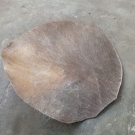 Buffalo skin 20 cm