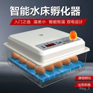 Q💕Incubator Small Household Intelligent Chicken Incubator Chicken Hatching Machine Duck Pigeon Water Bed Egg Incubator C