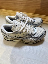 mizuno wave prophecy