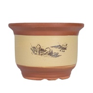 Pot Bunga Bonsai Bahan Keramik Ukuran Besar Jual Starollhouse