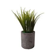 WHEATGRASS PLANT WITH GREY POT - TABLE SIZE [FAKE]