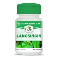 Langsingin HNI HPAI