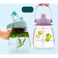 DropSip Water Bottle Tupperware