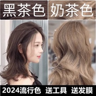 2026 New Products Popular Trendy Color Hair Dye Black Milk Tea Color Cover White Hair Men Women Hair