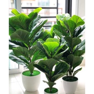 🌿Fiddle leaf fig artificial plant🌿 READY STOCK 
