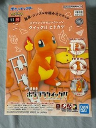 pokemon 小火龍 噴火龍 立體 模型 puzzle 寶可夢 charmander