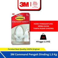 1.3 Kg Wall Hook3m
