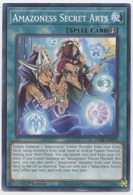 Amazoness Secret Arts - DABL-EN099 - Common - 1st Edition