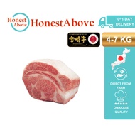 Japanese A5 Wagyu Miyazaki - Wholesale