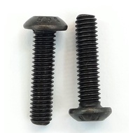Screw Half-Round Head M4x16