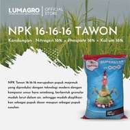 [✅Ready Stock] Pupuk Npk 16-16-16 Tawon 50Kg Nutrisi Pertumbuhan