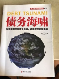 牛刀—債務海嘯