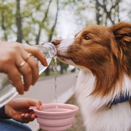 【貓狗用品】PetDreamHouse 可摺疊矽膠旅行碗