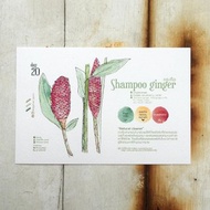 當地花卉明信片 - 第 20 天天然清潔劑