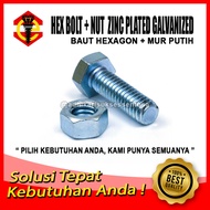 Grade 4.6 Galvanized BMP M10x70 White Nut and Bolt/ 7 CM Pitch 1.5 Key 17