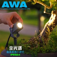 Full Spectrum Panoramic Plant Atmosphere Light Green Plant Leaf Root Block Fill Light Arhat Pine Box