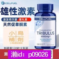 下單備註電話加瀨免運 【美國超強補睪丸】補充荷爾蒙持久雄性激素睪丸酮囌增肌刺蒺藜