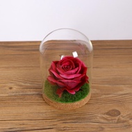[Homyl478] Glass Cloche Dome Jar Dollhouse Terrarium with S