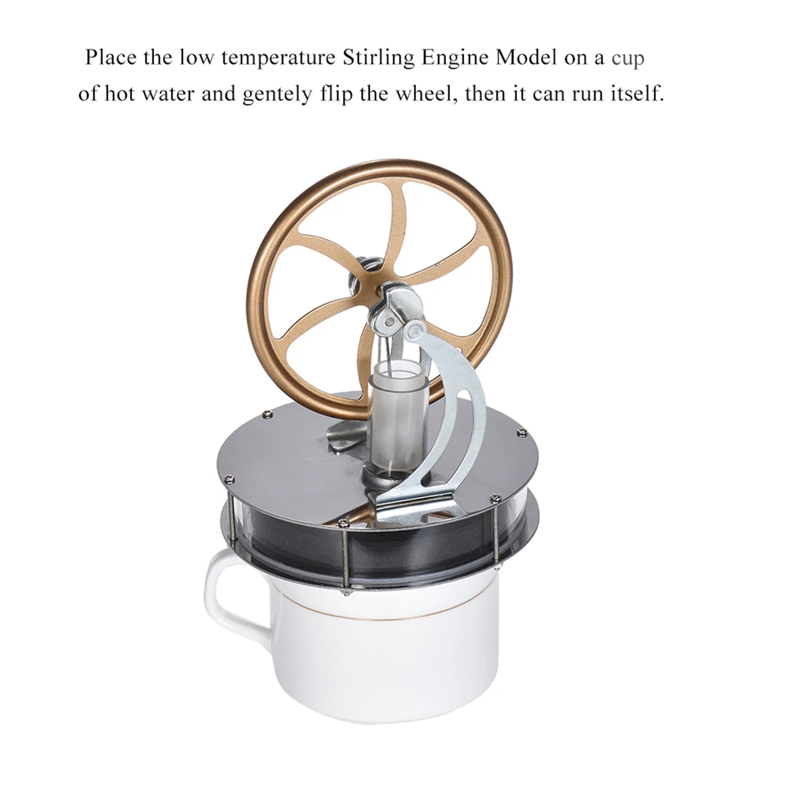 Low Temperature Stirling Engine Motor Model Heat Steam Education  DIY Kit Low Temperature Stirling E