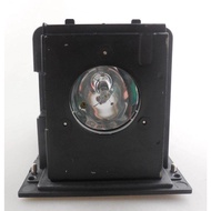 BL-FU250F / SP.L3703.001 Projector Replacement Lamp with Housing for OPTOMA H77 / H78 / H78DC3 / H79