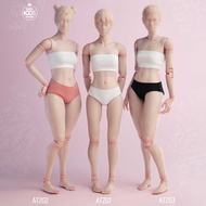 Worldbox At201 At202 At203 1/6 Girl Joint Flexible Body Normal Fat Leg 12'' Female Soldier White