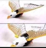 Mainan Burung Elang Terbang / Mainan anak burung terbang / COD mainan anak burung bunyi / burung ber