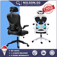 NELSON Office Chair Ergonomic Desk Chair Computer Mesh Chair with Lumbar Support and Flip-up Arms