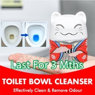 Toilet Bowl Cleaner Toilet Cleaner Stain Remover