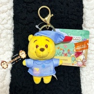 Hong Kong Disney Sweet Journey Pooh Pooh Mini Pendant Plush Keychain/Zz9.9