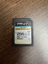 PNY 256GB sd card