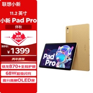 联想小新PadPro 11.2英寸 骁龙870 办公学习游戏平板 2.5K 120Hz OLED 莱茵护眼68w闪充 8+128伴秋