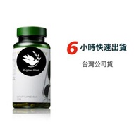 【快速出貨】現貨 綠茶精粹膠囊(小綠) 台灣公司貨 ⭐️ 整瓶/分裝