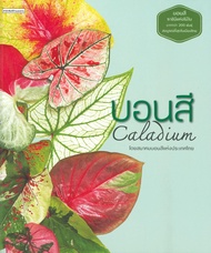 บอนสี Caladium